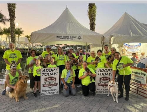 Dezzy's Second Chance Animal Rescue, Inc. logo