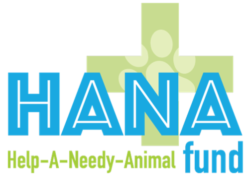 The HANA Fund logo