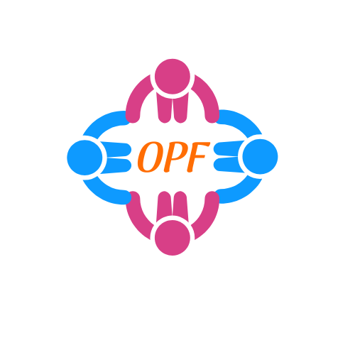 Our promise foundation NFP logo