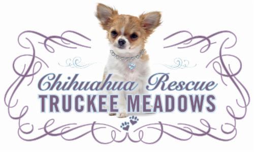 Chihuahua Rescue Truckee Meadows, Inc logo