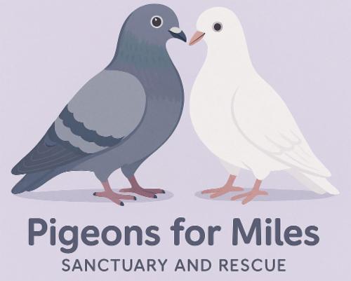 PIGEONS FOR MILES SANCTUARY AND RESCUE logo