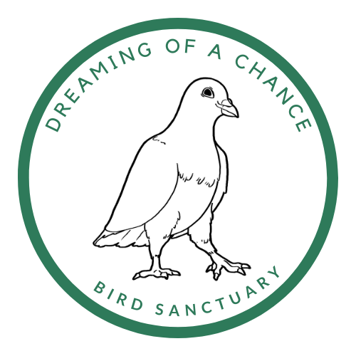 Dreaming of a Chance Farm Animal Sanctuary Corp. logo