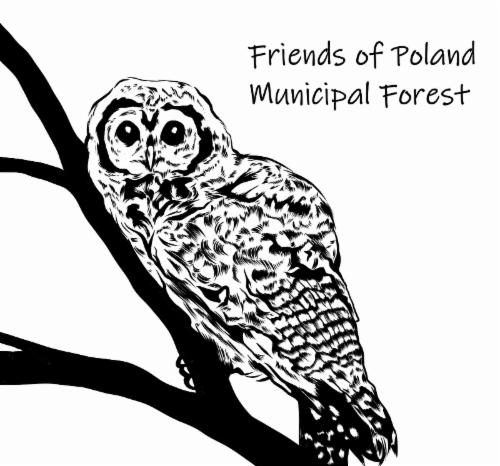 Friends of Poland Municipal Forest logo