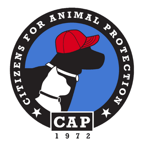 Citizens for Animal Protection Inc logo
