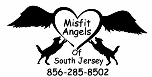 Misfit Angels of South Jersey logo