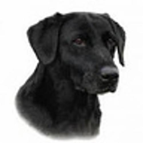 Animal Humane Advocacy logo