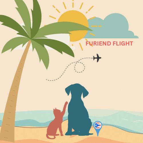 Furiend Flight logo