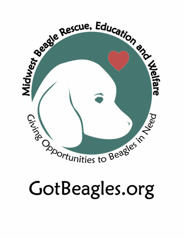 Midwest Beagle Rescue, Education and Welfare logo