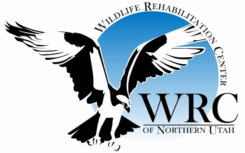 Wildlife Rehabilitation Center of Northern Utah logo