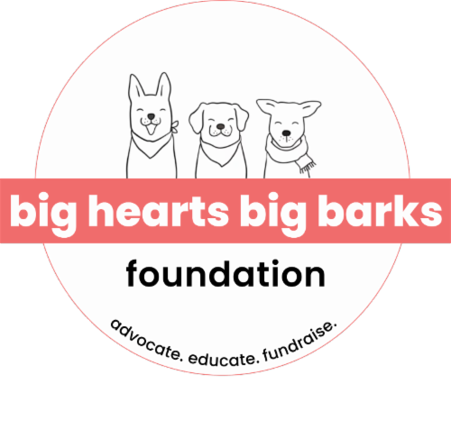 Big Hearts Big Barks Foundation logo