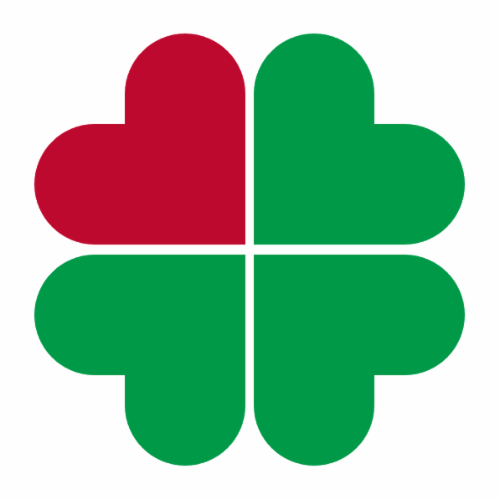 James D Rielly Foundation, Inc. logo