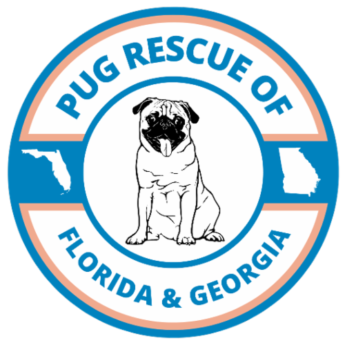 Pug Rescue of Florida, Inc logo