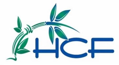 The Healing Consciousness Foundation logo