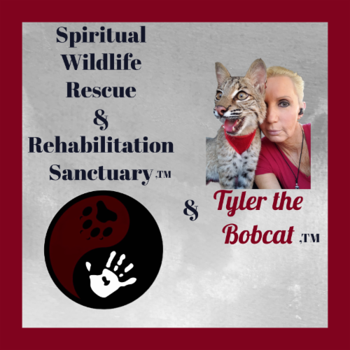 Spiritual Wildlife Rescue and Rehabilitation Sanctuary