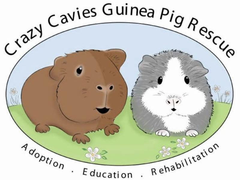 Crazy Cavies Guinea Pig Rescue Inc. logo