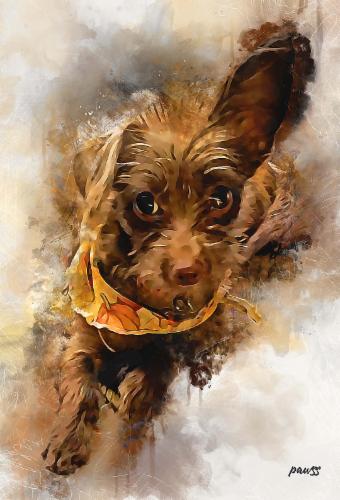 Old Paws Rescue Ranch Inc. logo