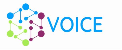 V.O.I.C.E., Inc. logo