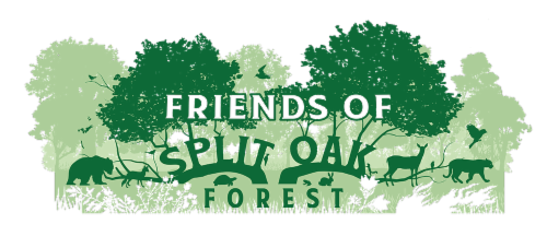 Friends of Split Oak Forest, Inc. logo