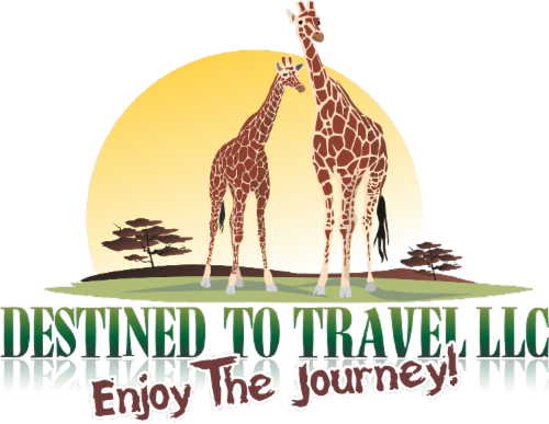 Destined To Travel Make A Difference Organization logo