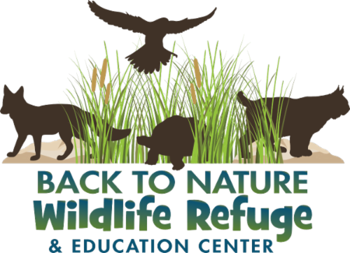 Back to Nature Wildlife, Inc. logo