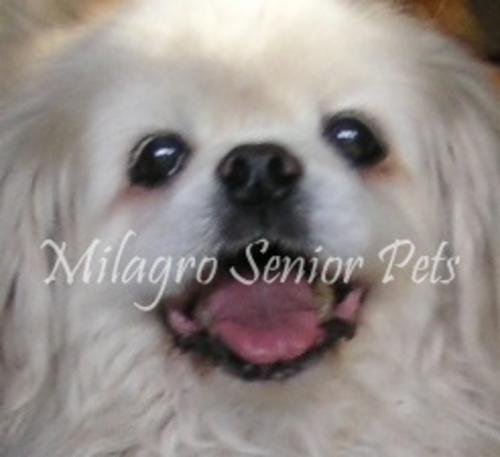 Milagro Senior Pet Refuge Inc. logo