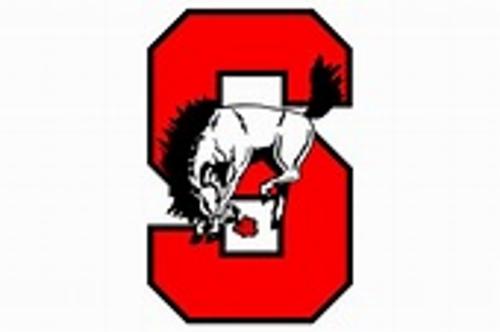 Sonora Secondary Non-Profits logo