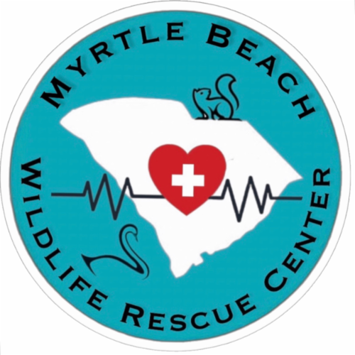Myrtle Beach Wildlife Rescue Center logo