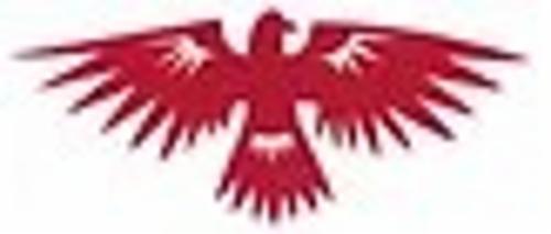 Boulder Thunderbirds logo