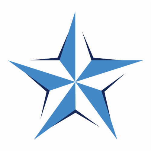 Blue Stars, Performing Arts for Youth, Inc logo