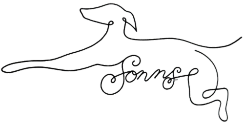 Saving Our Needle Noses logo