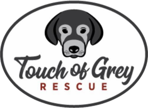 Touch of Grey Rescue logo