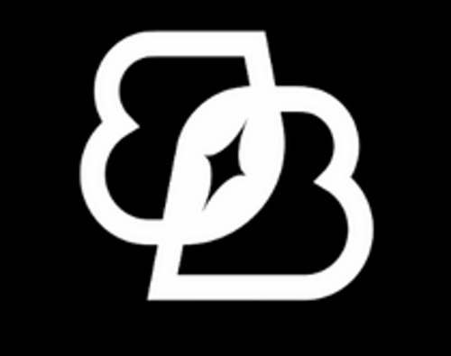 Black Boys Leadership Alliance for Change (B-BLAC), Inc. logo
