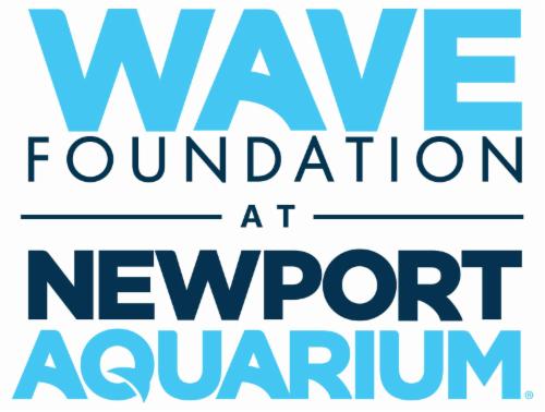 WAVE Foundation logo