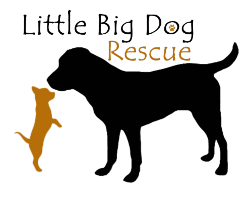Little Big Dog Rescue, Inc. logo