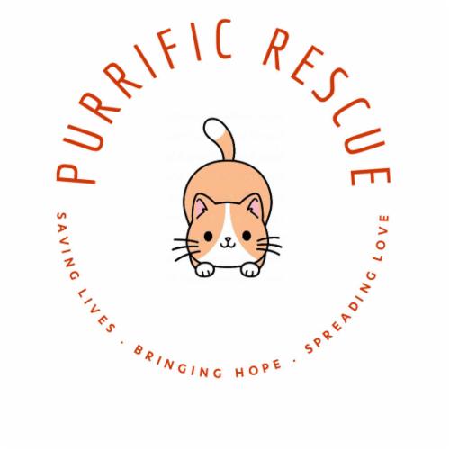 Purrific Rescue logo