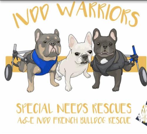 A&E IVDD FRENCH BULLDOG RESCUE INC logo