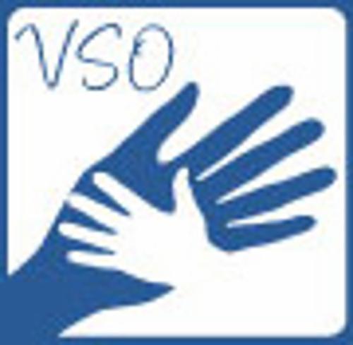 Children of Vinh Son Orphanage Inc. logo