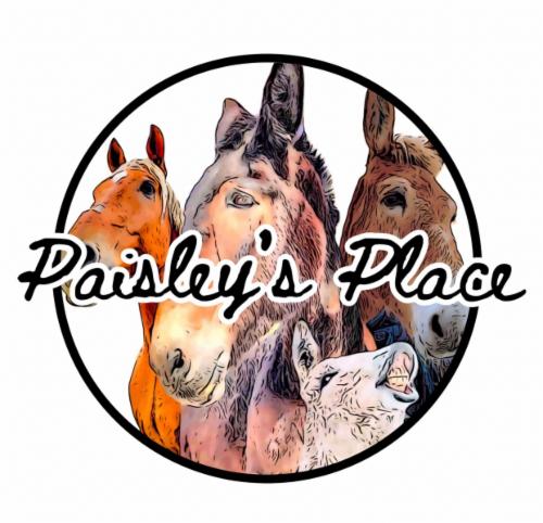 Paisley’s Place and the home of the Unadoptables