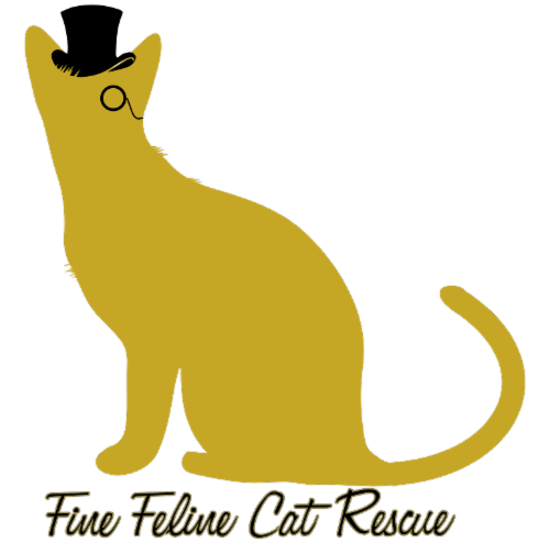 Fine Feline Cat Rescue logo