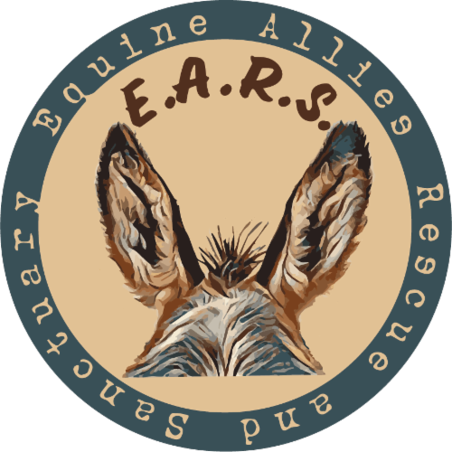 Equine Allies Rescue and Sanctuary logo