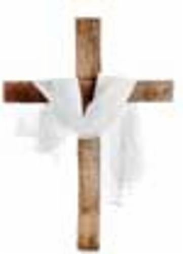 Church of Faith Incorporated logo