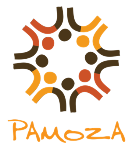 Pamoza International logo