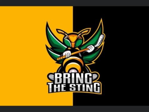 Bring the Sting Booster Club