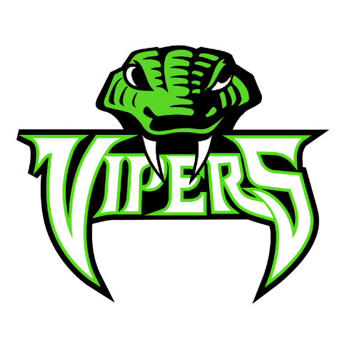East Coast Vipers Youth Sports Association, Inc. logo