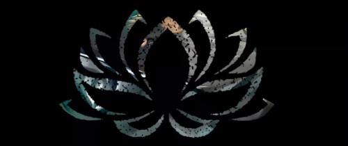 Obsidian Institute of Integrative Medicine logo