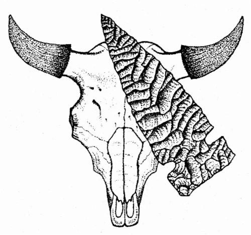 Vore Buffalo Jump Foundation logo