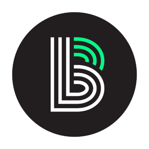 Big Brothers Big Sisters of the Big Bend, Inc. logo