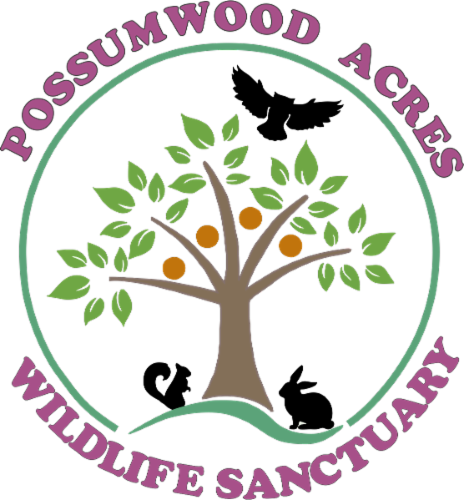 Possumwood Acres Wildlife Sanctuary logo