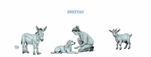Breeyah logo