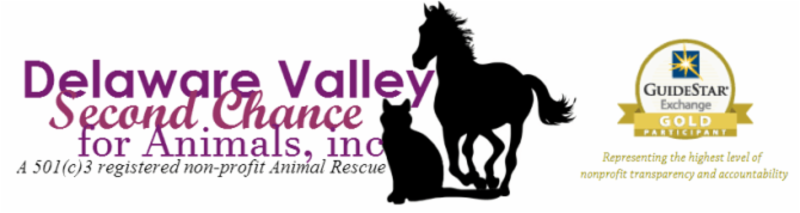 Delaware Valley Second Chance for Animals (DVSC) logo